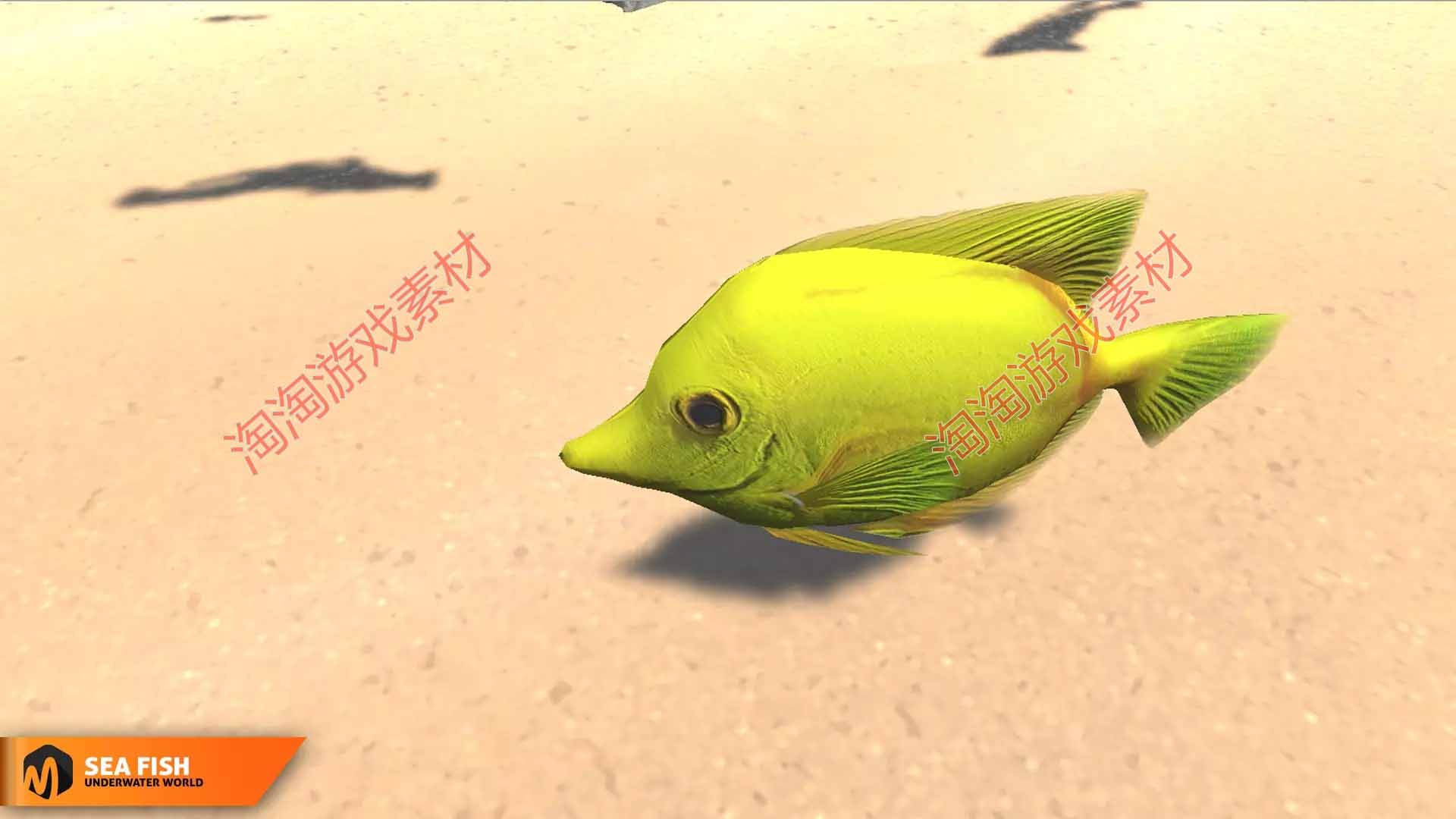 Unity3d Sea fish- underwater world 1.0海洋多种鱼动画模型-图1