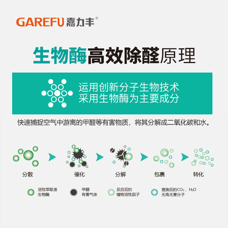 嘉力丰生物酶分解型新房新车甲醛清除剂 强力除醛喷雾 - 图2