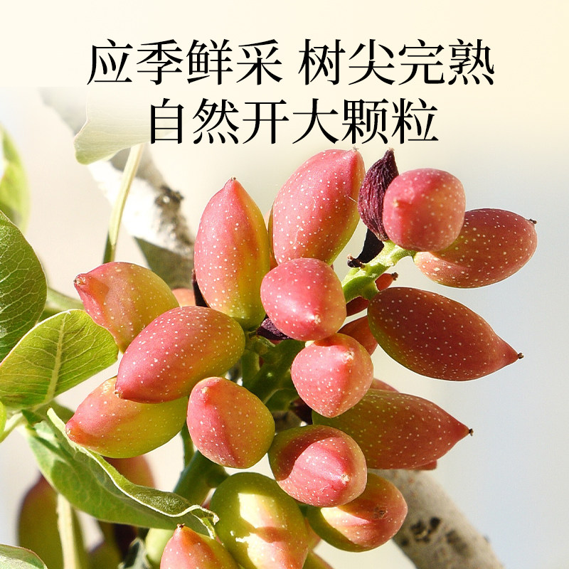 新农哥大颗粒原味开心果2024年新货坚果散装批发无漂白孕妇零食