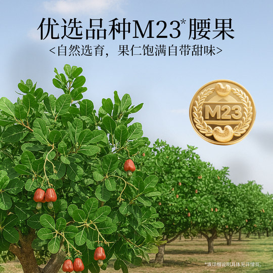 【李佳琦直播间双12全品类超好价】新农哥大颗粒紫皮腰果500g*2罐