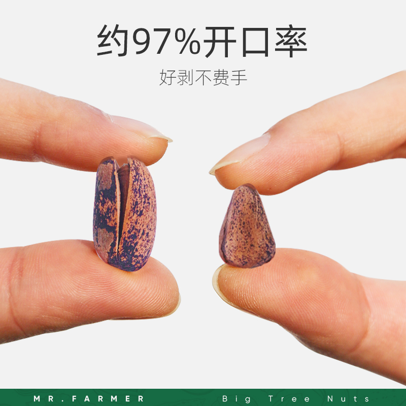 新农哥东北虎皮烤松子600g手剥开口松籽原味坚果炒货孕妇休闲零食