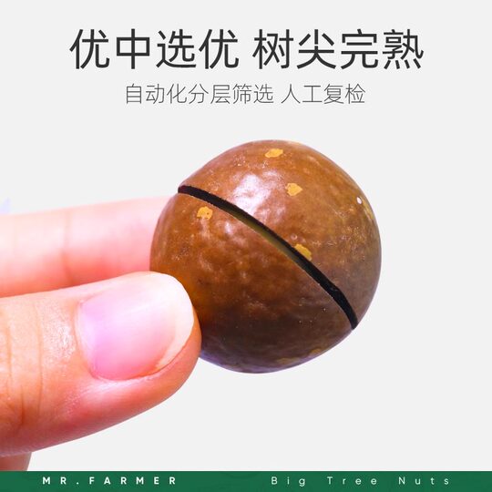 New Nongorta Granulated Macadamia Nuts