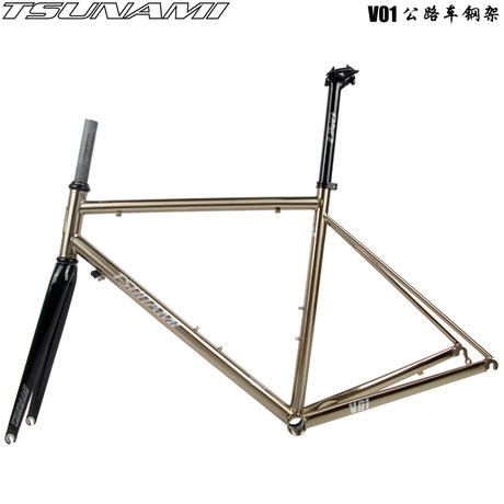 carbon fork on steel frame