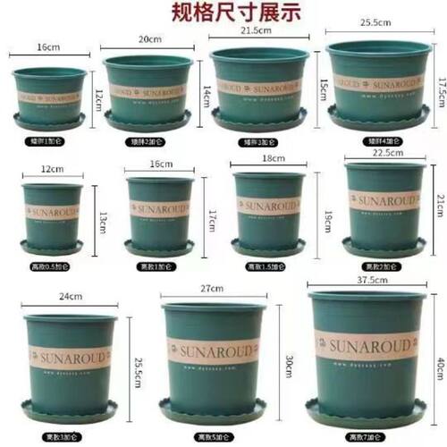 花盆2024塑料树脂多肉小绿萝月季大加仑盆栽加厚透气阳台耐用种植 - 图0
