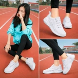 Ян губки женская призрачная танцевальная танцевальная обувь мягкая волна танце