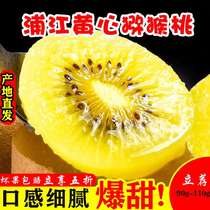 Authentic Szechuan Pujiang Yellow Heart Exotic Fruits Fresh Pregnant pregnant Fruit When the season is big fruit should be picked up for the season