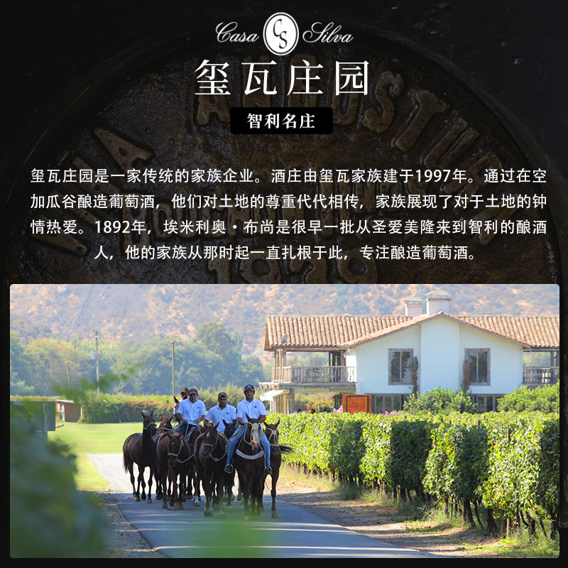 ASC白银玺瓦庄园家族之星梅洛干红葡萄酒进口红酒750ml送礼
