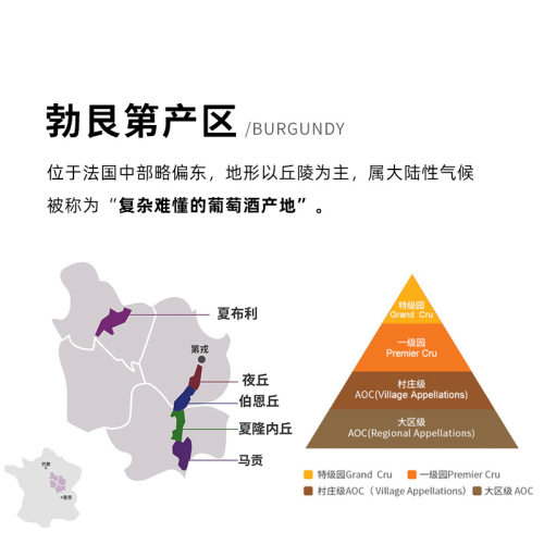 【勃艮第黑皮诺】ASC法国红酒路易亚都/雅都干红进口葡萄酒整箱装 - 图3