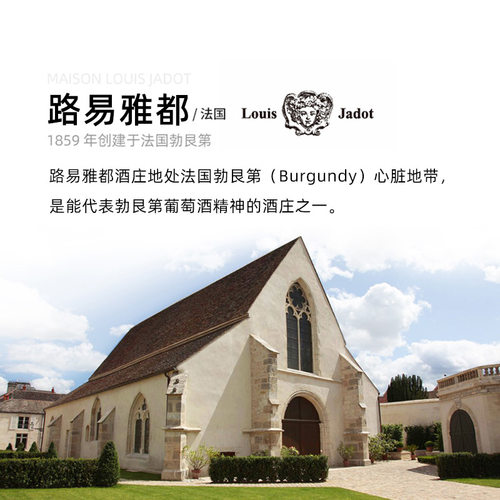 【勃艮第黑皮诺】ASC法国红酒路易亚都/雅都干红进口葡萄酒整箱装 - 图2
