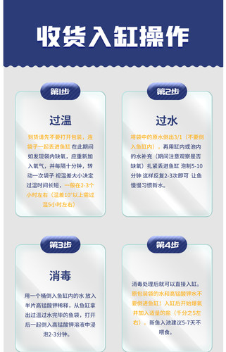 长彦锦鲤火鲤红鲤鱼闪鳞红色锦鲤活鱼好养耐活鱼苗金鱼纯红观赏鱼 - 图2