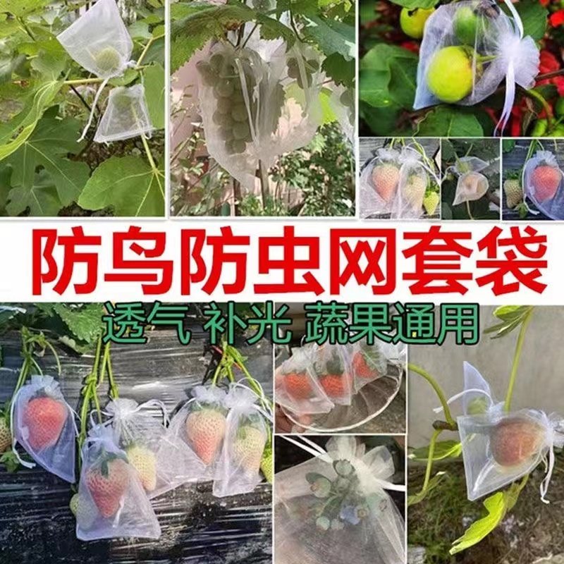晒腊肉袋防蝇网晒牛干巴鱼干腊肠火腿网防虫水稻浸种网袋水果套袋,淘宝优惠券,粉丝福利购,淘宝优惠卷