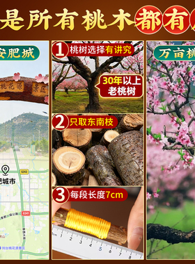 桃木枝黄绳真老桃树枝桃木东南枝