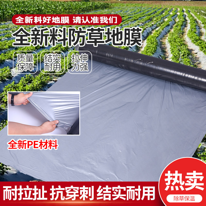 全新银黑双色地膜农用种植果园大棚专用除草抑草保温种地塑料薄膜,淘宝优惠券,粉丝福利购,淘宝优惠卷