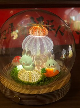 手工贝壳海胆充电小夜灯摆件