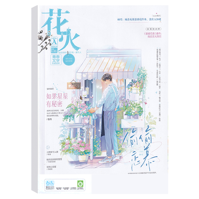 花火杂志2024年5A/4B/4A/3B/3A/2B/2A/1B/1A打包半/全年订阅(含花火全彩)魅丽花火系列杂志青春校园女生言情文学 - 图1