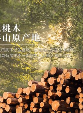 普陀山三合六合老桃木手串2026马年本命年十二生肖真朱砂手链男女