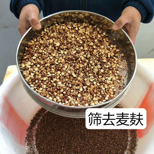 麸炒芡实熟芡实麦麸炒制半开芡实500g包邮农家熟芡实薏米赤小豆茶 - 图2