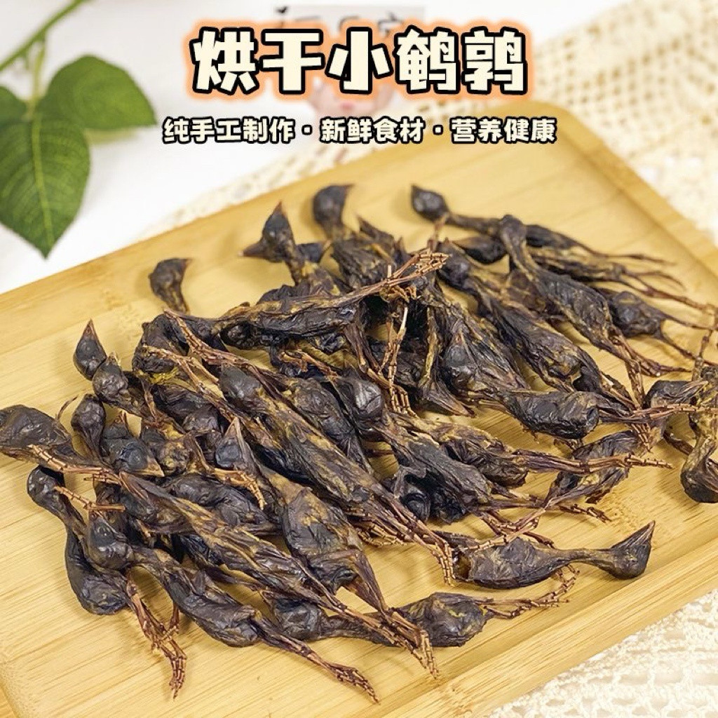 鲜烘焙仓鼠躺手鹌鹑冻干零食增肥磨牙花枝鼠金丝熊补充营养蛋白粮,淘宝优惠券,粉丝福利购,淘宝优惠卷