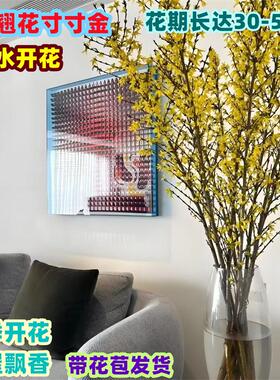 串串金干枝泡水开真花室内绿植
