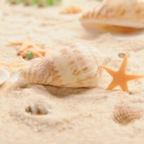 螃蟹王国 Пляжный ландшафтный расходной модель рыбная аквариум микроамблема пластиковая улитка снаряд Zhuhai Star White Shell