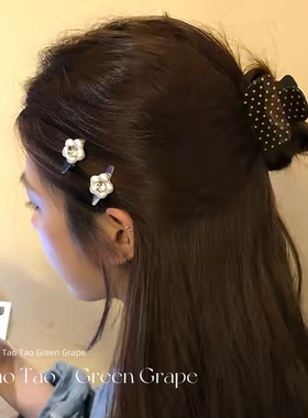 韩系银色水钻花朵小发夹边夹侧边前额碎发刘海夹秋冬鸭嘴夹发饰