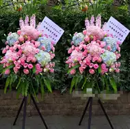 开业花牌 新人首单立减十元 21年9月 淘宝海外