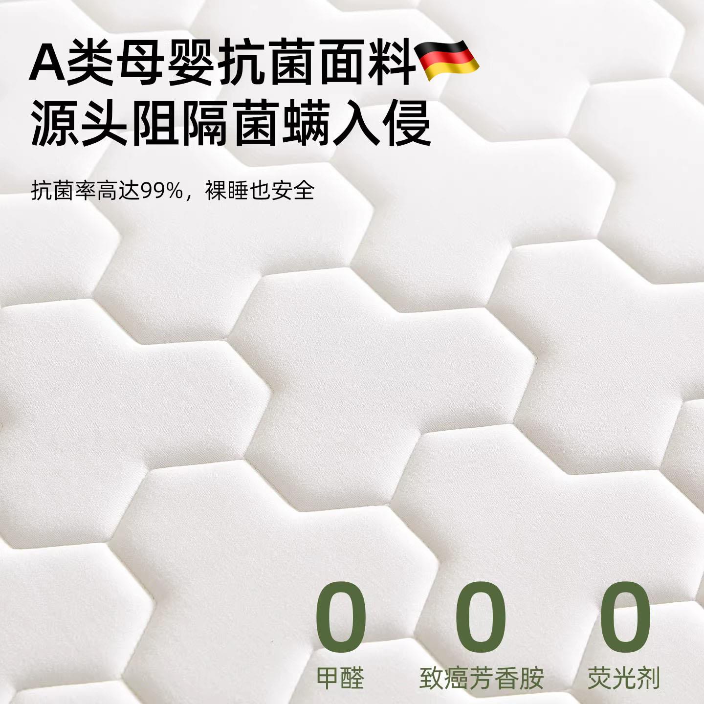 德国新款乳胶记忆棉床垫软垫家用卧室榻榻米海绵租房专用床褥垫子 - 图3