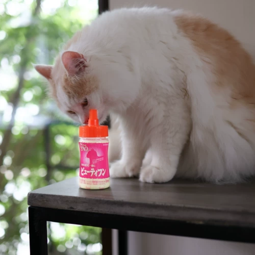 Японский порошок CIAO Cat Daily Vitality, порошок для волос с высоким содержанием клетчатки, шарик для удаления волос, улучшает запах фекалий и сохраняет здоровье, не стареет, 30 г