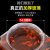 Special wine bottle for green plum wine brewed with ginseng medicinal wine