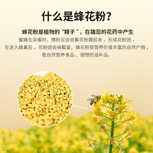 汪氏油菜花粉*5瓶 天然正品青海蜂花粉 旗舰店官方未破壁蜂花粉 - 图1