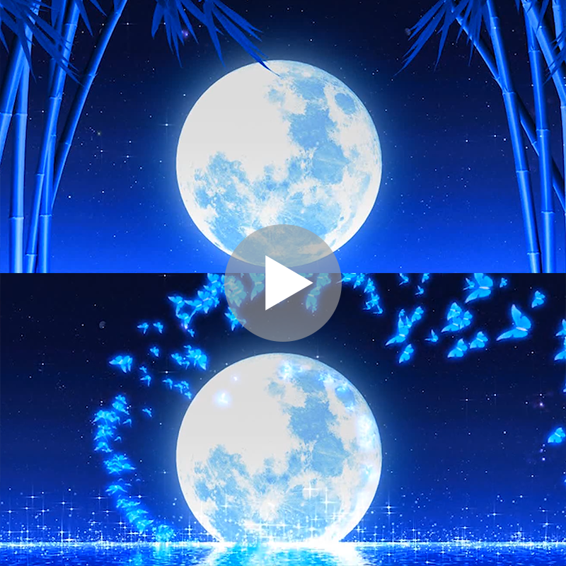 月光下的凤尾竹C调降B葫芦丝伴奏演出舞蹈led高清背景视频素材,淘宝优惠券,粉丝福利购,淘宝优惠卷