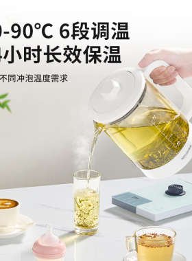 亚摩斯纯钛养生壶家用1.2L