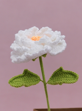 成品手工编织牡丹花永生花