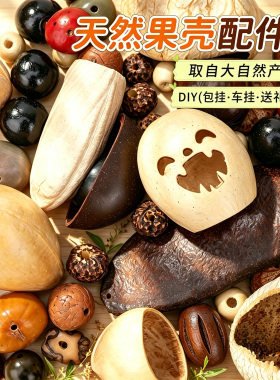 果壳风铃手摇铃材料diy天然黑果