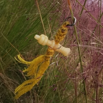 12908 Tibetan Yak Bone Vajra Bell Buddha Beads Side Hanging