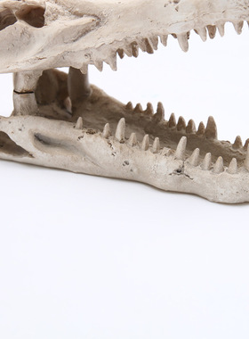 水族箱鱼缸摆件 水草造景 鲨鱼头骨 树脂头骨 造景装饰宠物摆件