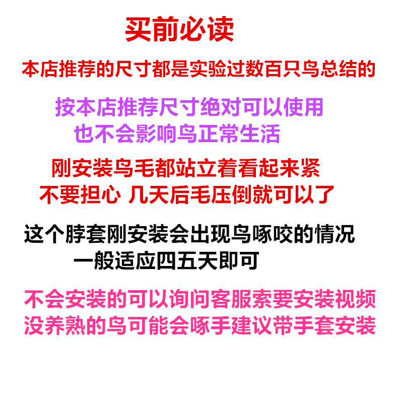 脖套不锈钢材质胶圈护脖栓鸟脖圈牡丹鹦鹉玄凤放飞链子训练工具 - 图3