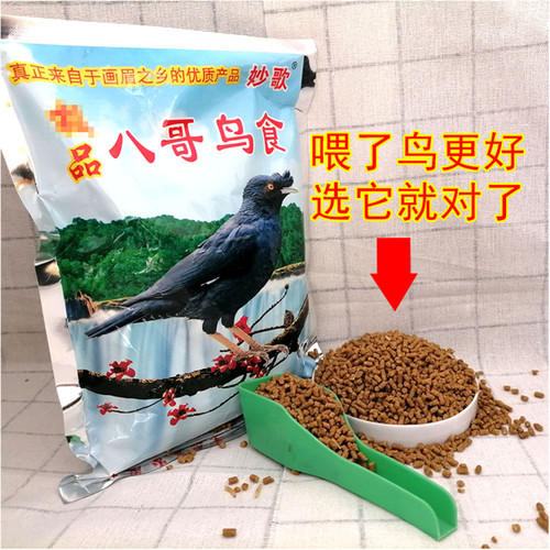 贵州妙歌八哥鸟食林八哥黑八哥鸟粮饲料鹩哥乌鸫营养学话食料包邮 - 图1