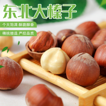 Northeast Great Hazelnut Year Goods Nuts Fried Stock Original Taste Pregnant pregnant with zero Dried Fruits Fried Stock 500g No Additive