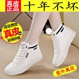 灏 鐪熺 忕槠 毊 闉 闉 コ 鐪熺 鐪熺 鐪熺   娼   搴曡 瀷 锷ㄩ 锷ㄩ 瀷 锷ㄩ 瀷 渚 渚 胯 紤 紤 闂 瀛 愬 コ コ 瀷 瀷 瀷 瀷 瀷 瀷 瀷 瀷