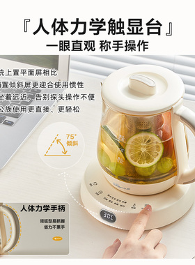 【无胶水】小熊养生壶0.8L办公用