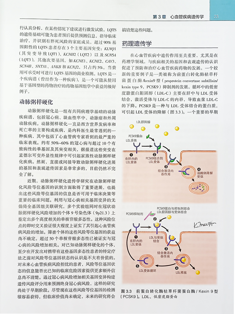 现货正版 奈特心脏病学 第3版 高炜 郭丽君 主译北京大学医学出版社9787565926747 - 图3