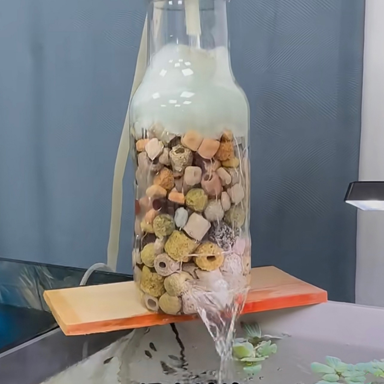 鱼缸培菌滤材陶瓷环珊瑚骨火山石净水过滤材料混合装水族箱细菌屋,淘宝优惠券,粉丝福利购,淘宝优惠卷