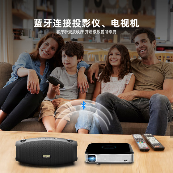 Portable listening and singing Bluetooth subwoofer for home KTV