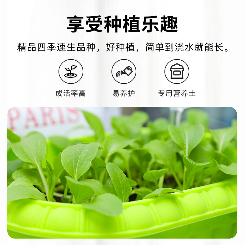 香菜种子籽种种植套装四季阳台盆栽蔬菜生菜小葱豌豆尖韭菜疏菜葱,淘宝优惠券,粉丝福利购,淘宝优惠卷