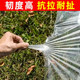 Special plastic film for vegetable greenhouses to keep warm and cold-proof