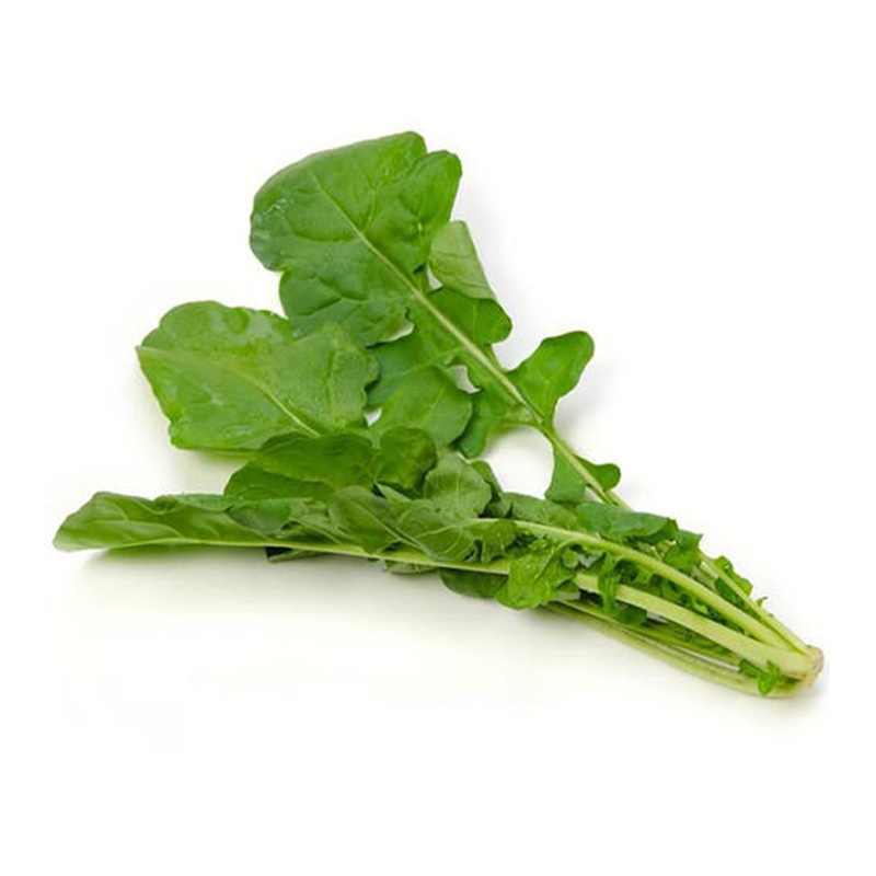 东北大叶臭菜种子四季蔬菜种籽春天种的菜籽盆栽蔬莱孑芝麻菜春季,淘宝优惠券,粉丝福利购,淘宝优惠卷