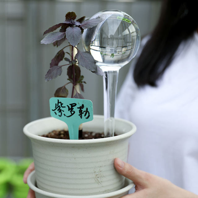 Automatic flower watering device, a lazy planting tool