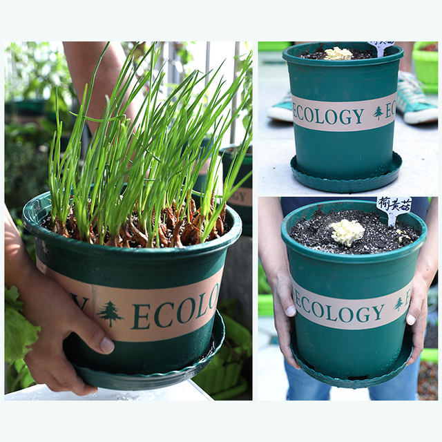 The second generation of short and fat style balcony planting flower and vegetable pots