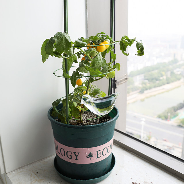 Plant climbing frame, climbing pergola, luffa frame, home and outdoor